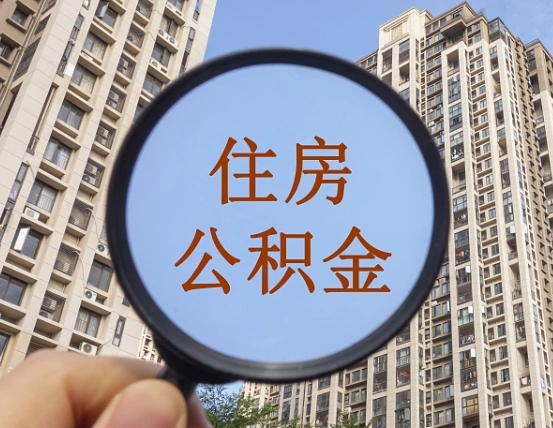 攀枝花退休后查不到公积金明细了吗（退休后公积金查询不到原因）